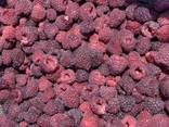 Продам замороженную малину с Украины c Euro 1 - photo 1