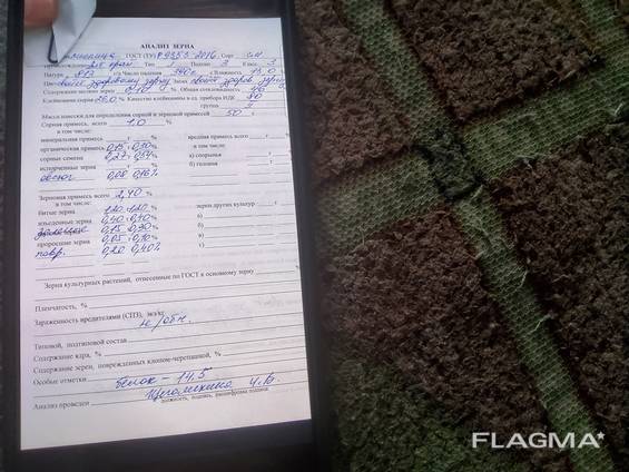 Пшеница 3 класс