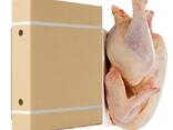 Quality Halal Frozen Whole chicken - фото 2
