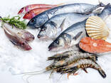Рыба и Море продукты - фото 4