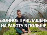 Invitation to seasonal work CERTIFICATE A seasonal invitation to Poland ! - фото 1