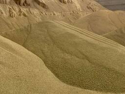 Соевый шрот Казахстан