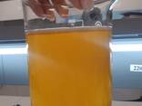 Sunflower oil and processed products