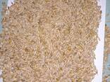 Tahıl. Mısır - фото 3