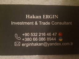 Trade and Investment Consultant