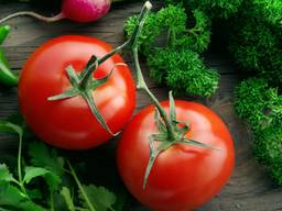 Tomatoes