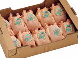 Quality Halal Frozen Whole chicken - фото 1
