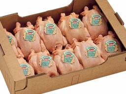 Top Quality Halal Frozen Whole chicken