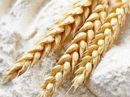 UN toptan 50 kg'lık çuvallarda ve 1 kg'lık paketlerde