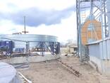 United Grain - photo 15