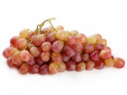Виноград сортов тайфи из Узбекистана