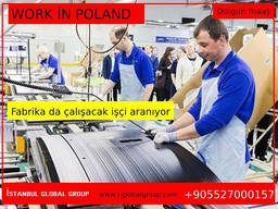 Service/ Work in Europe/ Poland