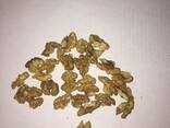 Ядро грецкого ореха / Walnut kernels