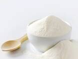 Yağsız süt tozu SOM - photo 2