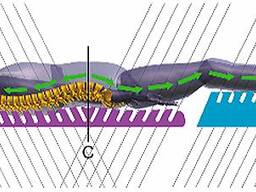 Здоровый позвоночник